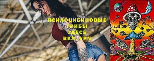 a pvp Алексеевка