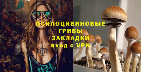 a pvp Алексеевка